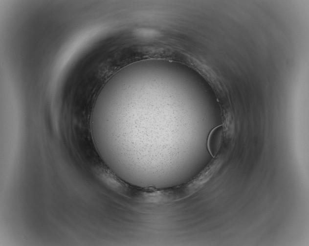 X0000113150430200909110958