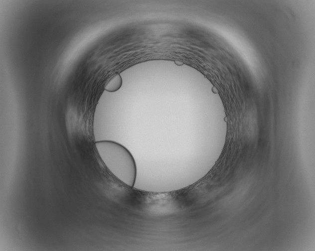 X0000113150431200909110958