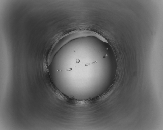 X0000113150432200909110958