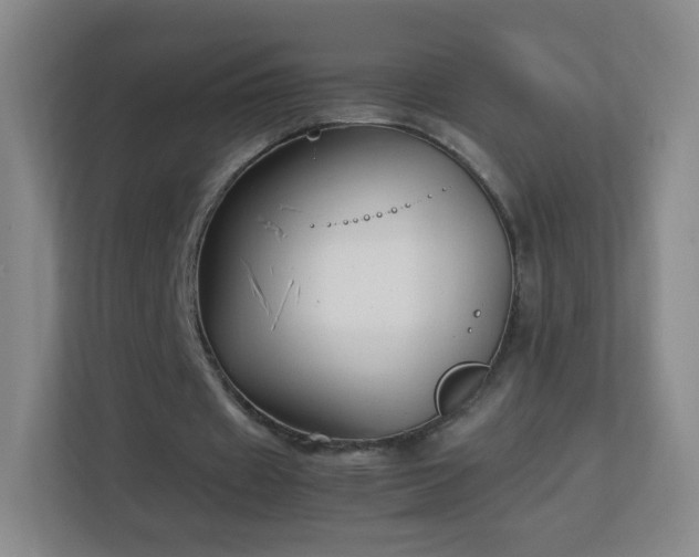 X0000113150433200909110957