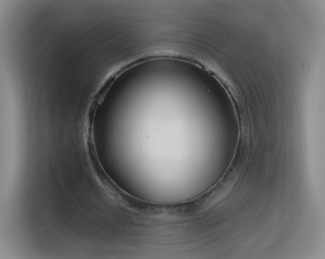 X0000113150434200909110957