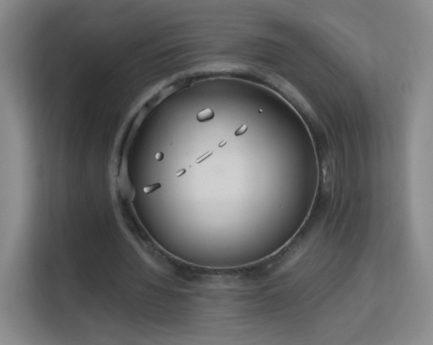 X0000113150436200909110957