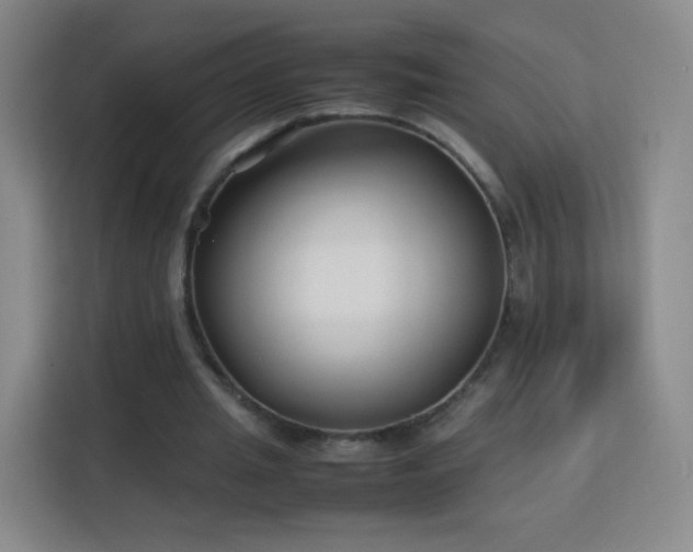 X0000113150437200909110957