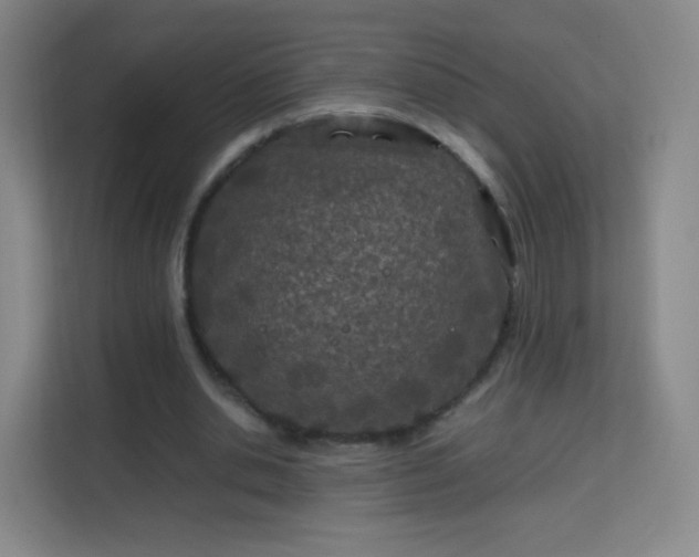 X0000113150438200909110957