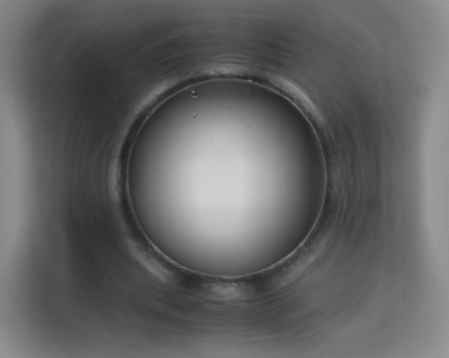 X0000113150439200909110957