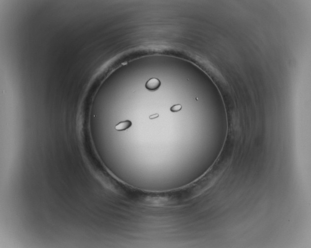 X0000113150440200909110957