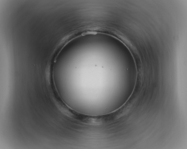 X0000113150442200909110957