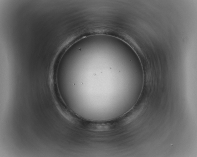 X0000113150443200909110957