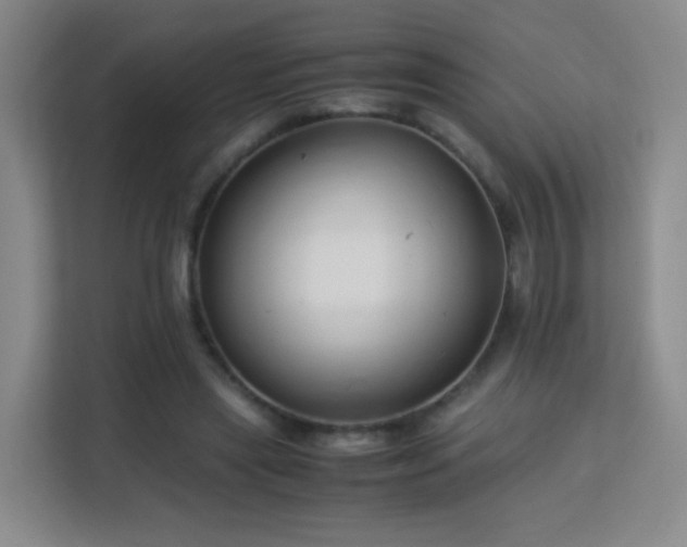 X0000113150445200909110957