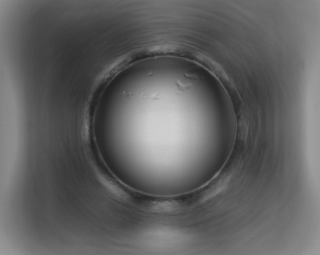 X0000113150446200909110957