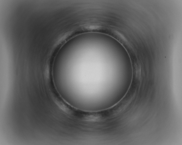 X0000113150447200909110957