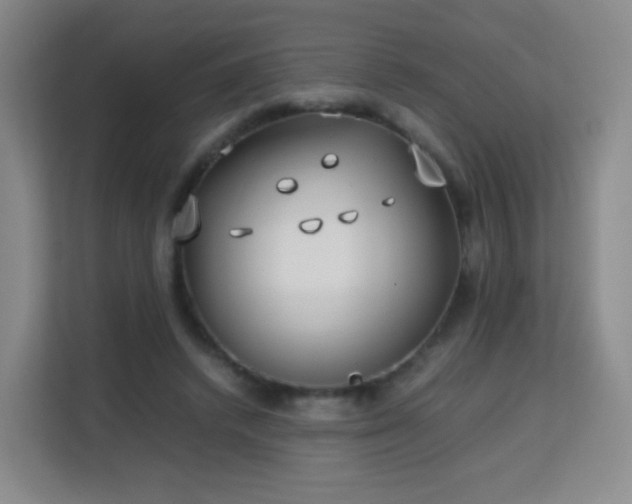 X0000113150448200909110957