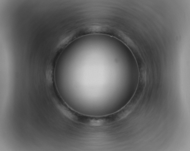 X0000113150450200909110957