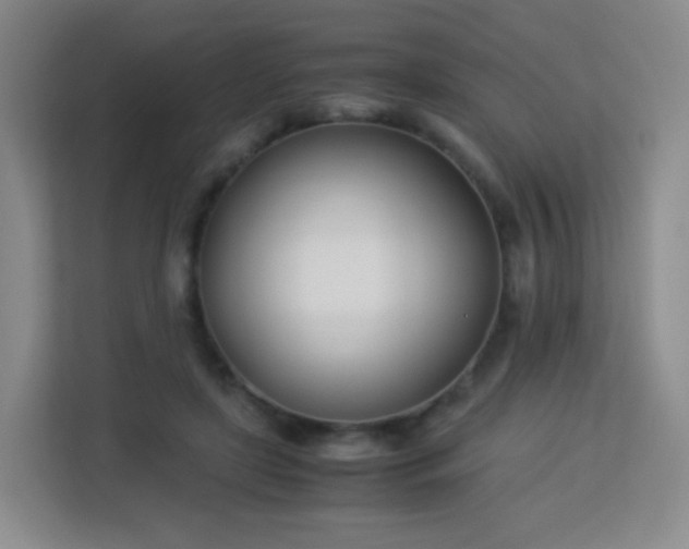 X0000113150451200909110957