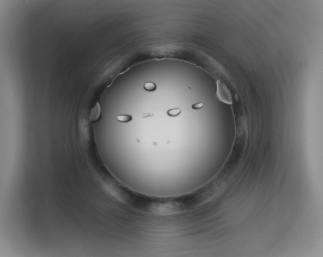 X0000113150452200909110957