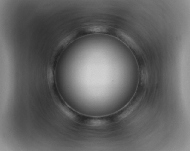 X0000113150453200909110957