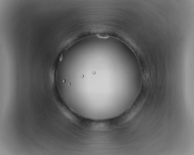 X0000113150454200909110957