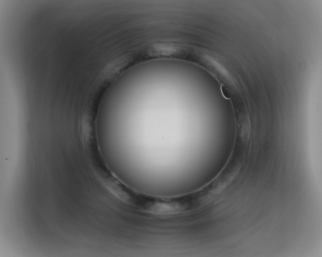 X0000113150455200909110957