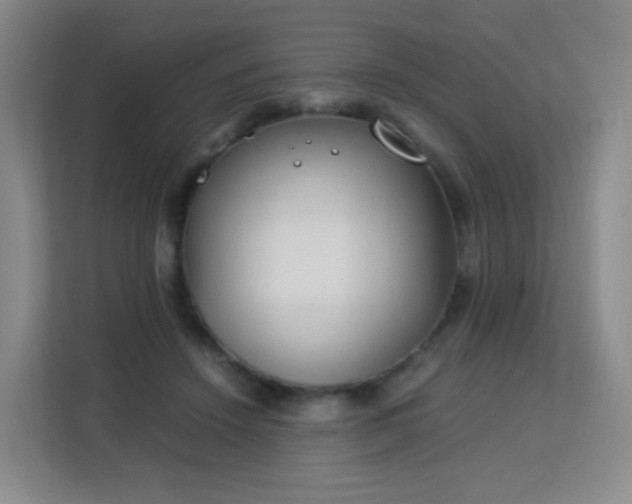 X0000113150456200909110957