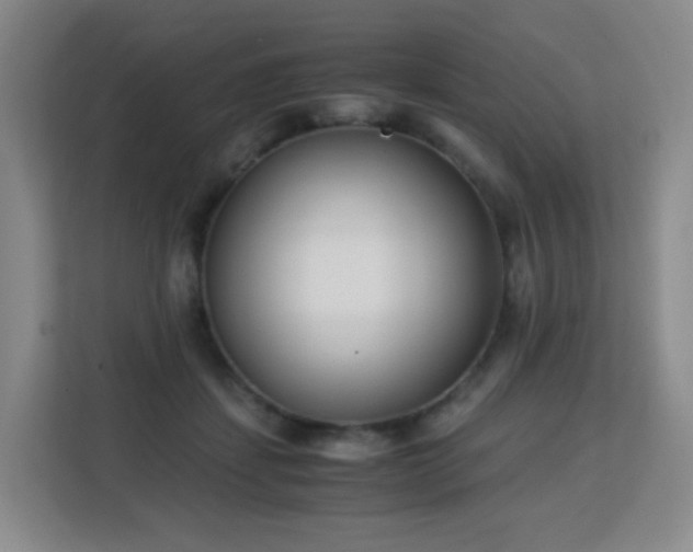 X0000113150459200909110957