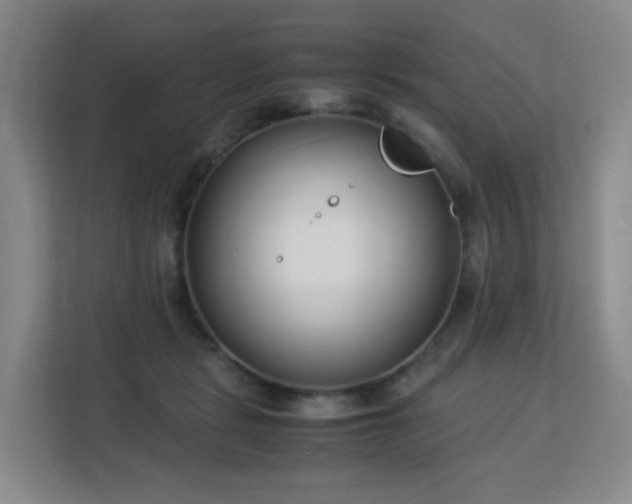 X0000113150461200909110957