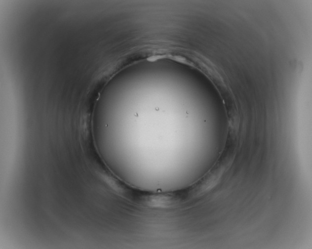 X0000113150462200909110957