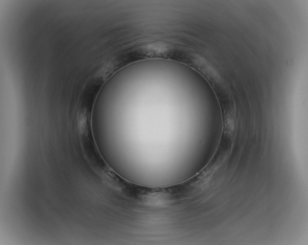 X0000113150468200909110957