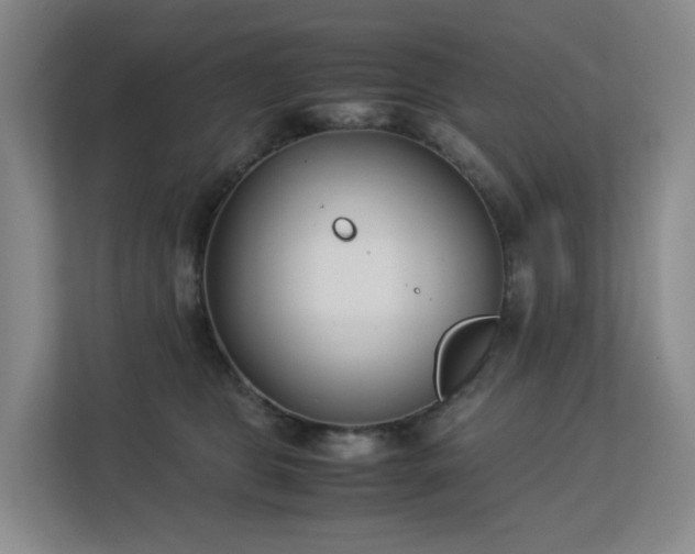 X0000113150469200909110957