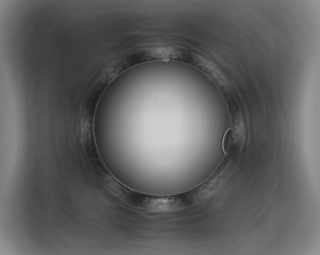 X0000113150473200909110957