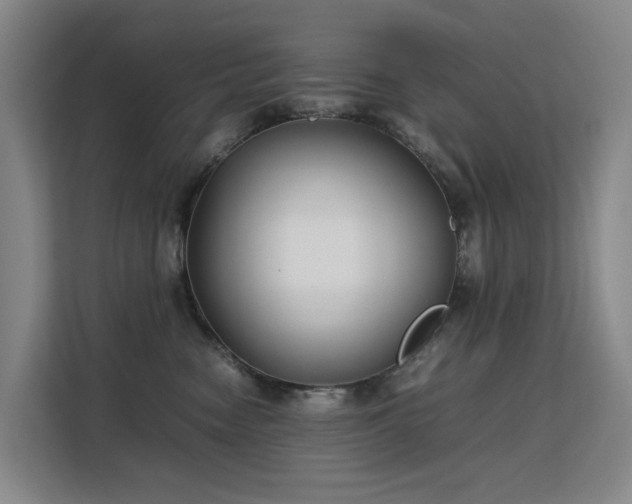 X0000113150474200909110958