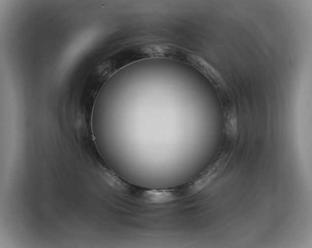 X0000113150477200909110958