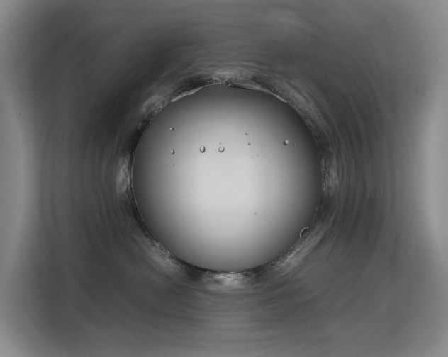 X0000113150478200909110958