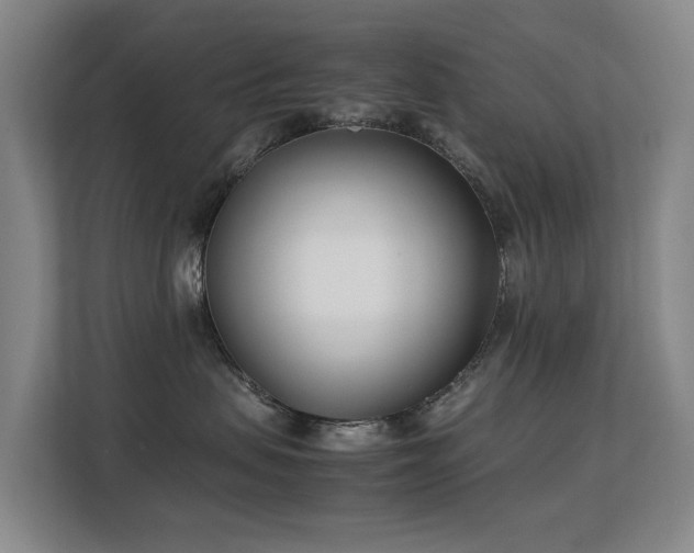 X0000113150479200909110958