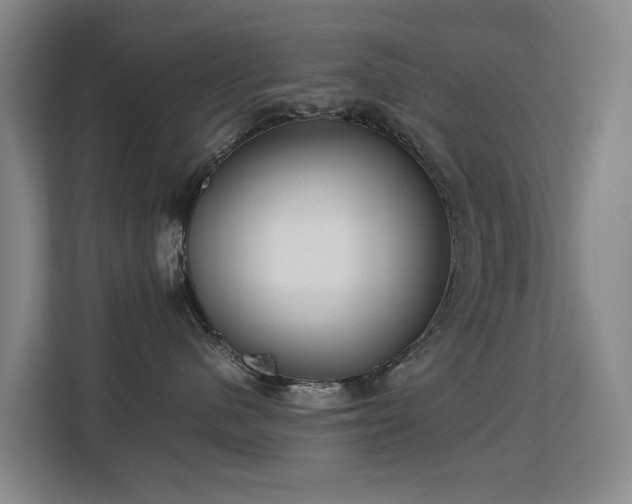 X0000113150480200909110958