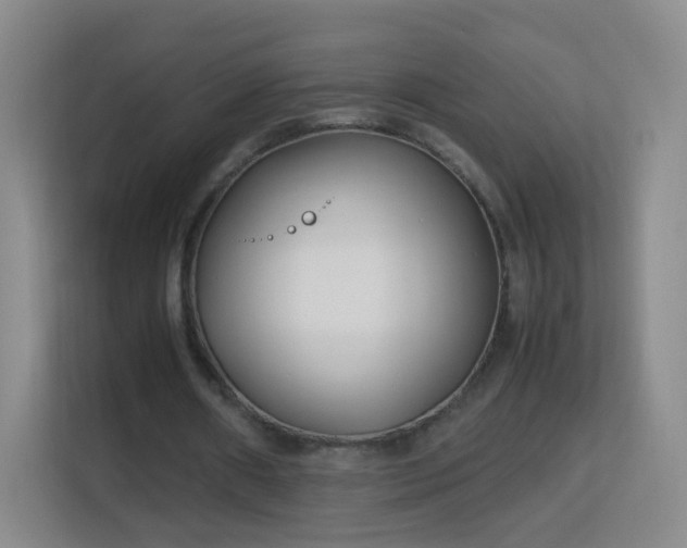 X0000113150482200909110957