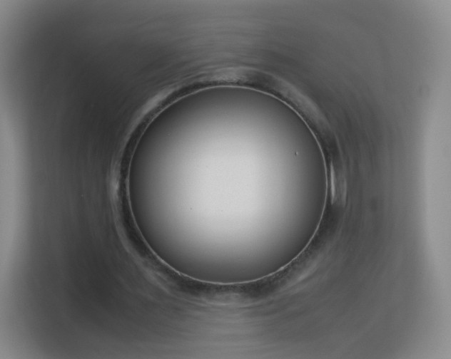 X0000113150483200909110957