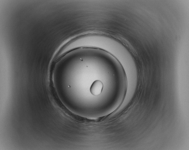 X0000113150484200909110957