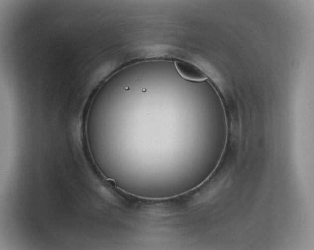 X0000113150485200909110957