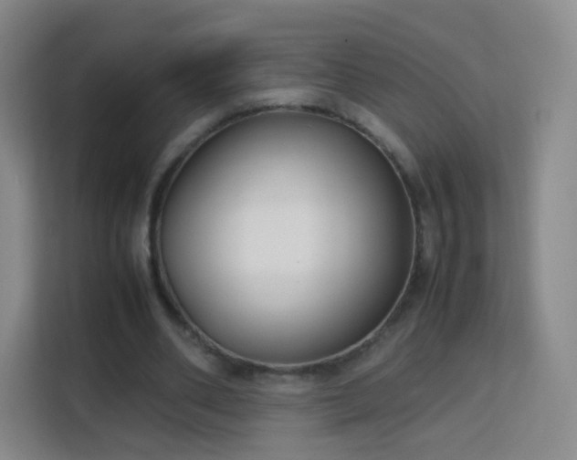 X0000113150486200909110957