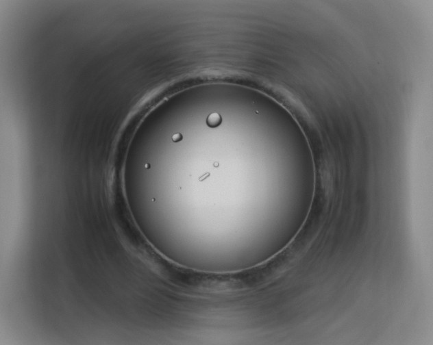 X0000113150488200909110957