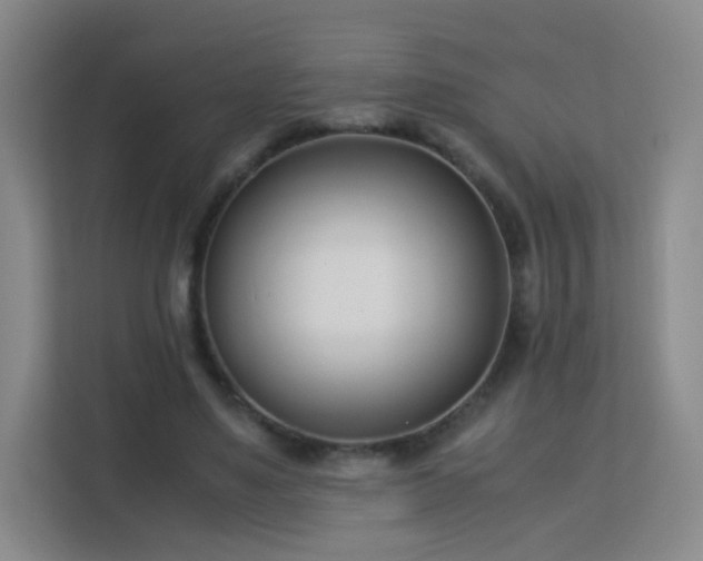 X0000113150491200909110957