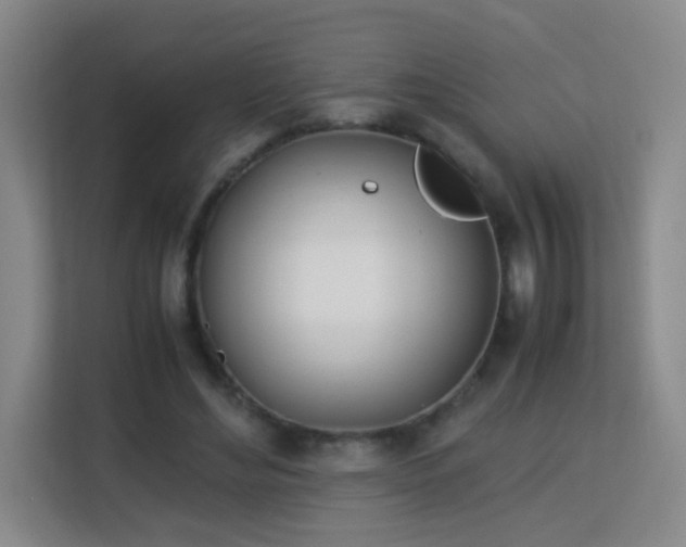 X0000113150492200909110957