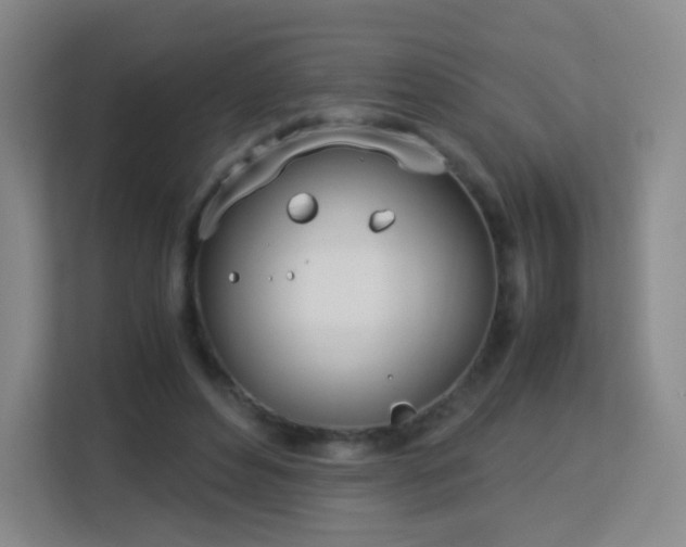 X0000113150496200909110957