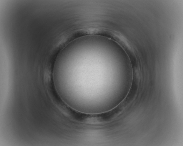 X0000113150499200909110957