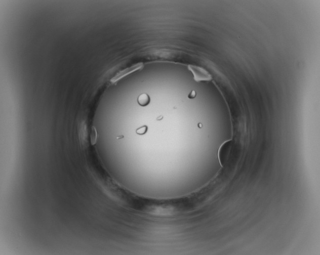 X0000113150500200909110957