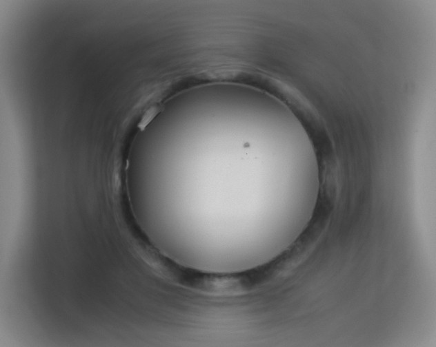 X0000113150501200909110957