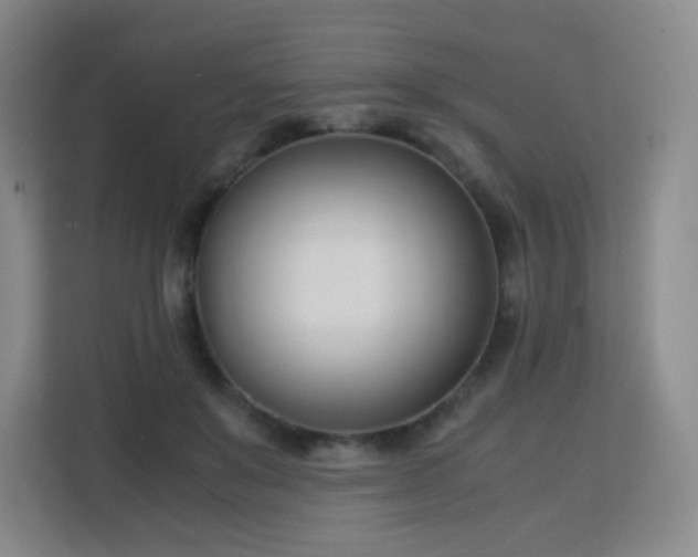 X0000113150503200909110957