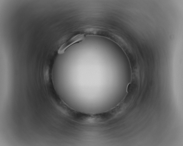 X0000113150504200909110957