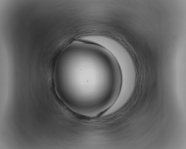 X0000113150505200909110957