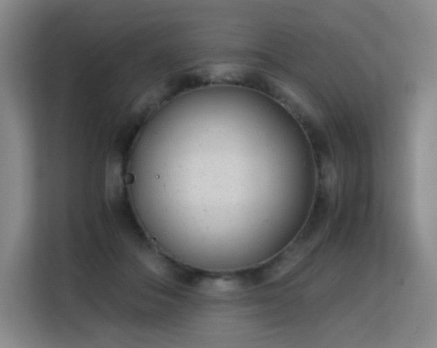 X0000113150506200909110957